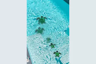 469 Haven Road, Cape San Blas, FL 32456 - Photo 40