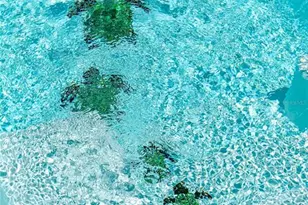 469 Haven Rd, Cape San Blas, FL 32456 - Photo 40