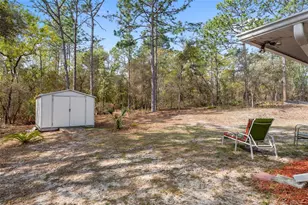 3212 W Camilo Dr, Citrus Springs, FL 34434 - Photo 36