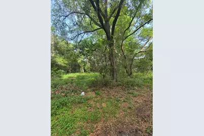 Tbd S St Clair Street, Wildwood, FL 34785 - Photo 4