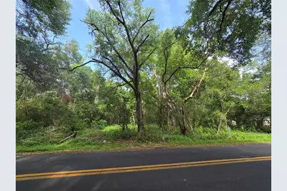 Tbd S St Clair Street, Wildwood, FL 34785 - Photo 2