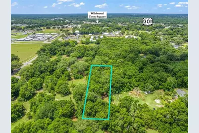 Tbd S St Clair Street, Wildwood, FL 34785 - Photo 10