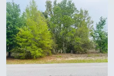 Sw 83rd Street, Dunnellon, FL 34431 - Photo 1