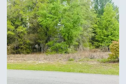 Sw 83rd Street, Dunnellon, FL 34431 - Photo 4