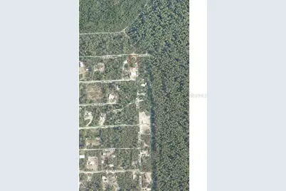 Tbd NE 213th Street, Fort Mc Coy, FL 32134 - Photo 1