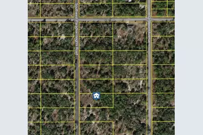 000 SW Paradise Heights Road, Dunnellon, FL 34431 - Photo 2