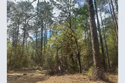 3700 SW 189th Avenue, Dunnellon, FL 34432 - Photo 24