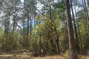 3700 SW 189th Ave, Dunnellon, FL 34432 - Photo 24