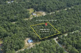 0000 SW Rainelle Rd, Dunnellon, FL 34431 - Photo 1