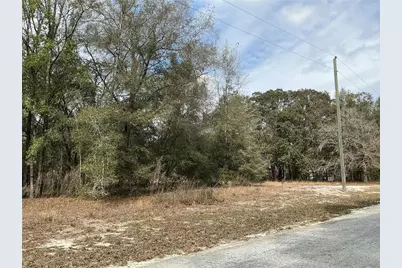 9299 Goodstone Drive, Webster, FL 33597 - Photo 4
