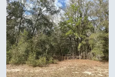 9299 Goodstone Drive, Webster, FL 33597 - Photo 1