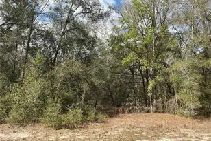 9299 Goodstone Dr, Ridge Manor Estates, FL 33597 - Photo 1