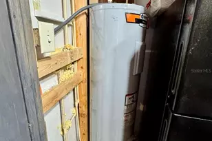 8671 NE 304th Terrace, Salt Springs, FL 32134 - Photo 8