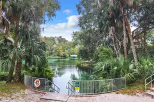 19040 SW 91st Ln, Dunnellon, FL 34432 - Photo 64