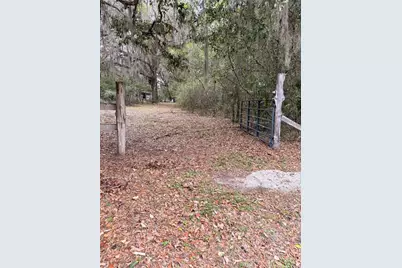 1730 S Palm Avenue, Homosassa, FL 34448 - Photo 6