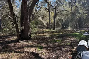 13767 NE 47th Ave, Anthony, FL 32617 - Photo 22