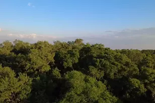 18059 N US Hwy 301, Citra, FL 32113 - Photo 1