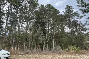 SW 79th Terrace, Ocala, FL 34473 - Photo 1