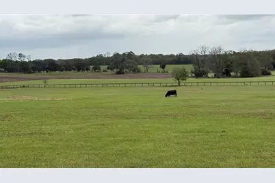 2700 SW 210th Avenue, Dunnellon, FL 34431 - Photo 4