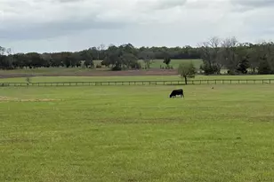 2700 SW 210th Ave, Dunnellon, FL 34431 - Photo 4