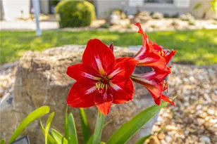 8090 SW 81st Loop, Ocala, FL 34476 - Photo 36