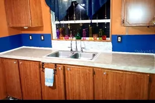 39751 Anchor Ave, Eustis, FL 32736 - Photo 4