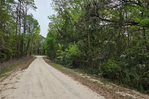 0000 NE 138th Terrace, Williston, FL 32696 - Photo 1