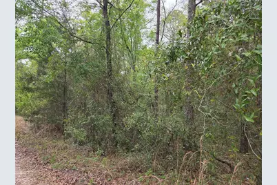 0000 NE 138th Terrace, Williston, FL 32696 - Photo 4