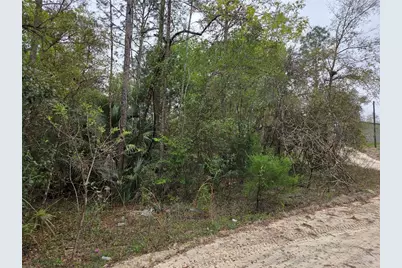 0000 NE 138th Terrace, Williston, FL 32696 - Photo 8