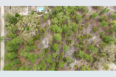 Tbd SW 137th Court Road, Dunnellon, FL 34432 - Photo 12