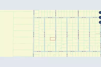 Tbd SW 137th Court Road, Dunnellon, FL 34432 - Photo 1