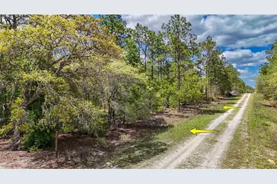 Tbd SW 137th Court Road, Dunnellon, FL 34432 - Photo 2