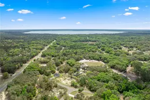 2 Magnolia Pass Trce, Ocklawaha, FL 32179 - Photo 26