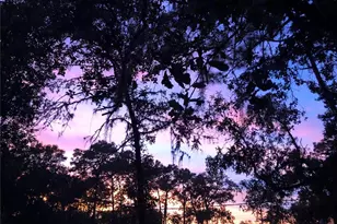 24576 NW Falcon Ave, Dunnellon, FL 34431 - Photo 62