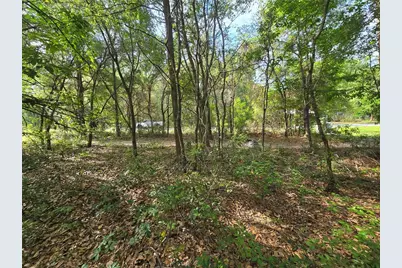 6659 E Grayson Street, Inverness, FL 34452 - Photo 4