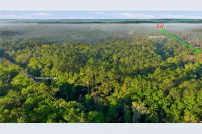 6630 N Treefarm Avenue, Beverly Hills, FL 34465 - Photo 8