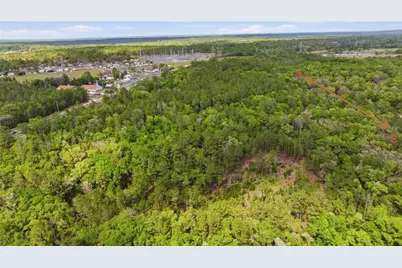 6630 N Treefarm Avenue, Beverly Hills, FL 34465 - Photo 14