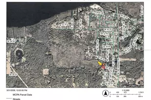 5790 SE 183rd Terrace, Ocklawaha, FL 32179 - Photo 40