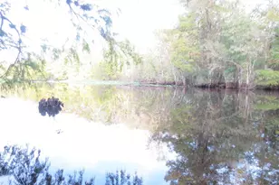 5790 SE 183rd Terrace, Ocklawaha, FL 32179 - Photo 56