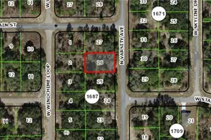 6648 Varsity, Dunnellon, FL 34434 - Photo 1