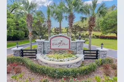 Tbd SW 144 Court Road, Ocala, FL 34482 - Photo 2