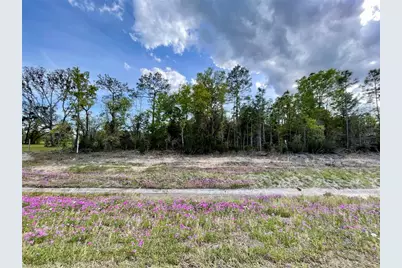 Tbd NE Highway 27 Alt, Williston, FL 32696 - Photo 2