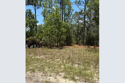 3711 W Norwick Place, Citrus Springs, FL 34433 - Photo 1