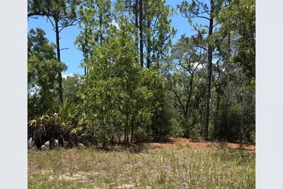 3711 W Norwick Place, Citrus Springs, FL 34433 - Photo 2