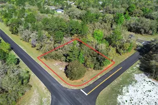 Tbd SW 146th Ln Rd, Ocala, FL 34473 - Photo 1
