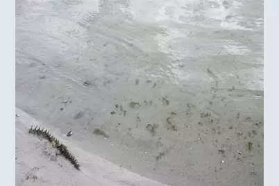 2380 SE 174th Court, Silver Springs, FL 34488 - Photo 80