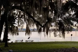 14010 NE 250th Cir, Salt Springs, FL 32134 - Photo 40