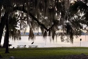 14010 NE 250th Cir, Salt Springs, FL 32134 - Photo 42