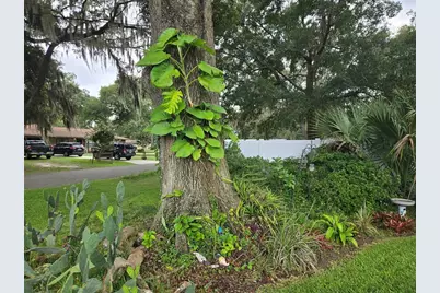 2043 NE 43rd Street, Ocala, FL 34479 - Photo 62