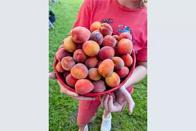 2043 NE 43rd Street, Ocala, FL 34479 - Photo 86